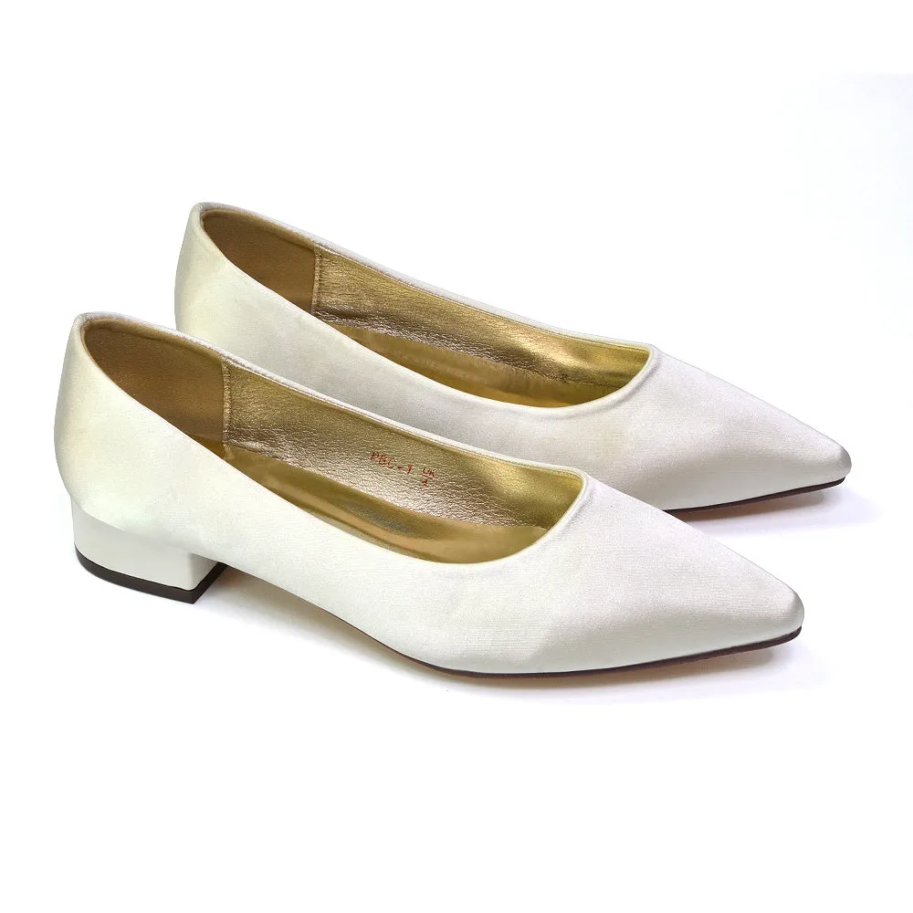 Karen Slip On Pointed Toe Wedding Shoes Low Heel Bridal Heels Court Shoes in Gold